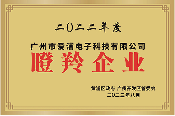 瞪羚企业(1).jpg